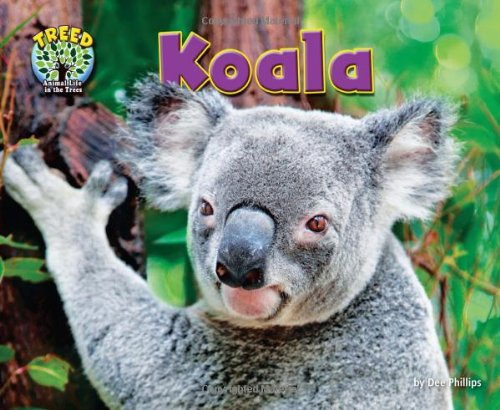 Imagen de archivo de Koala (Treed: Animal Life in the Trees) a la venta por SecondSale