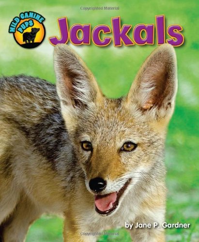 9781617729294: Jackals (Wild Canine Pups)