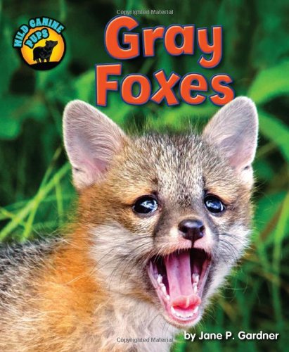 Imagen de archivo de Gray Foxes a la venta por Better World Books