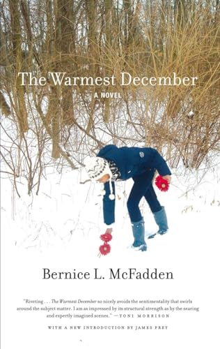 Stock image for The Warmest December for sale by SecondSale