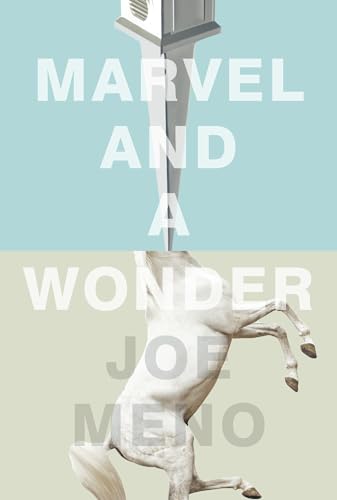 9781617753930: Marvel and a Wonder