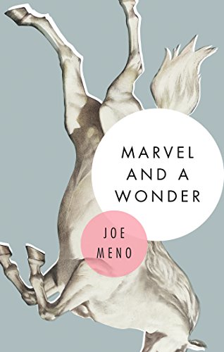 9781617753947: Marvel and a Wonder: A Novel