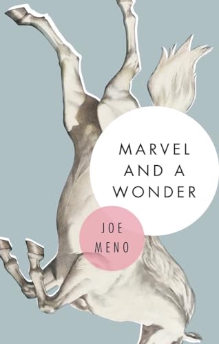 9781617753947: Marvel and a Wonder