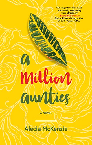 9781617758928: A Million Aunties
