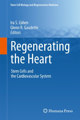 Beispielbild fr Regenerating the Heart: Stem Cells and the Cardiovascular System zum Verkauf von ThriftBooks-Dallas