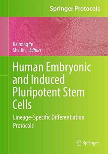 9781617792663: Human Embryonic and Induced Pluripotent Stem Cells: Lineage-Specific Differentiation Protocols (Springer Protocols Handbooks)