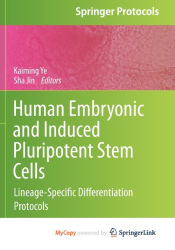 9781617792687: Human Embryonic and Induced Pluripotent Stem Cells: Lineage-Specific Differentiation Protocols