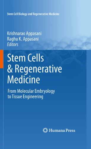 9781617797125: Stem Cells & Regenerative Medicine: From Molecular Embryology to Tissue Engineering (Stem Cell Biology and Regenerative Medicine)