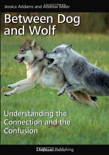 Imagen de archivo de Between Dog and Wolf: Understanding the Connection and the Confusion a la venta por HPB-Emerald