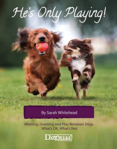 Imagen de archivo de He's Only Playing: Meeting, Greeting and Play Between Dogs. What's Ok, What's Not. [Soft Cover ] a la venta por booksXpress