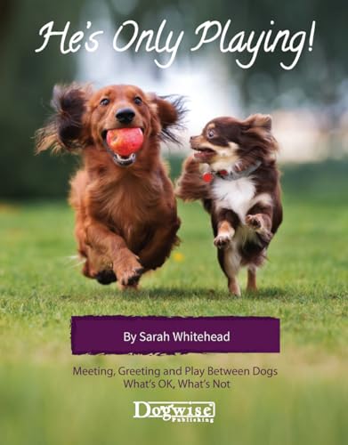 Stock image for He's Only Playing!: Meeting, Greeting and Play Between Dogs - What's Ok, What's Not for sale by GF Books, Inc.