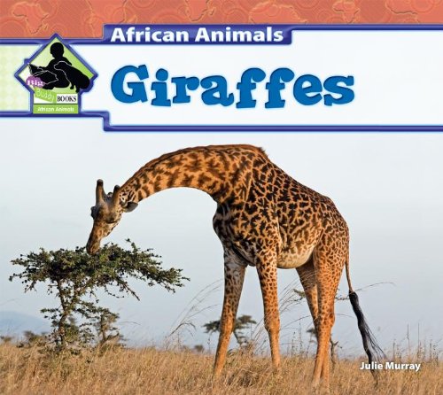 Imagen de archivo de Giraffes a la venta por ThriftBooks-Dallas