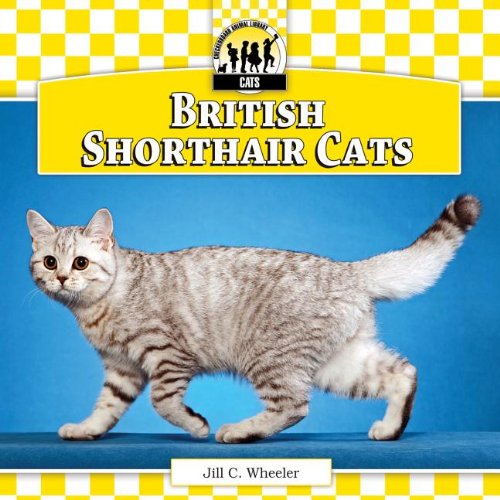 9781617832390: British Shorthair Cats (Cats Set 6)