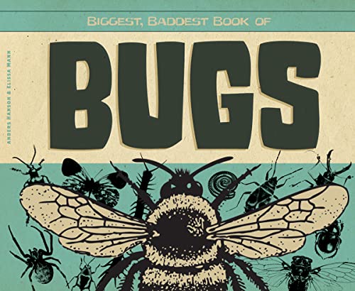 Stock image for Biggest, Baddest Book of Bugs (Biggest, Baddest Books for Boys) for sale by NEPO UG