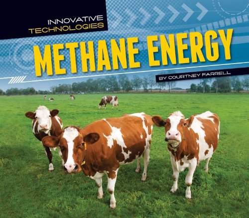 Stock image for Methane Energy (Innovative Technologies) for sale by Ergodebooks