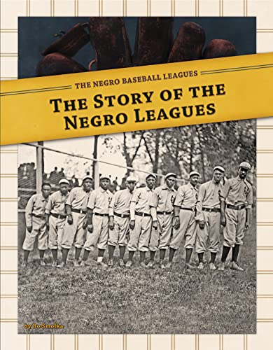 Stock image for The Story of the Negro Leagues for sale by Better World Books