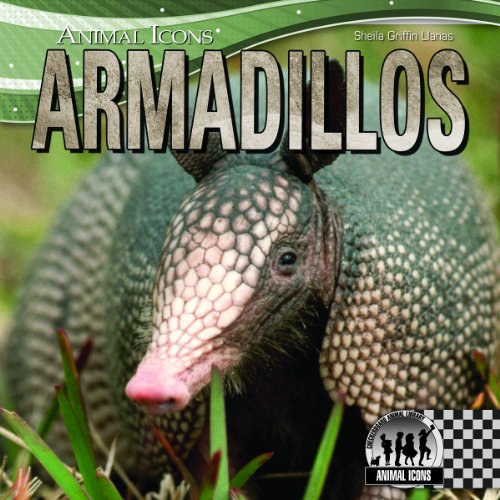 Beispielbild fr Armadillos zum Verkauf von Better World Books