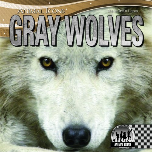 Stock image for Gray Wolves for sale by Better World Books: West