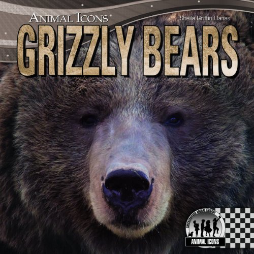 Imagen de archivo de Grizzly Bears a la venta por Better World Books