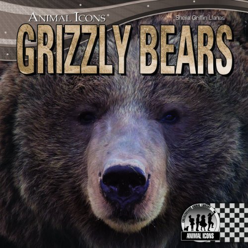 Stock image for Grizzly Bears for sale by Better World Books