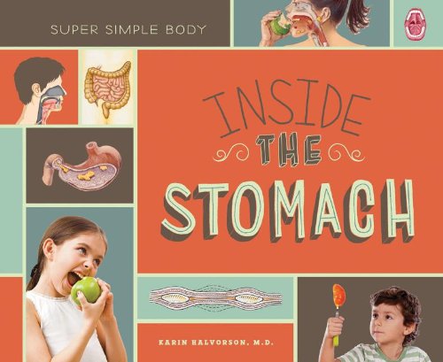 Beispielbild fr Inside the Stomach (Super Simple Body) zum Verkauf von Front Cover Books