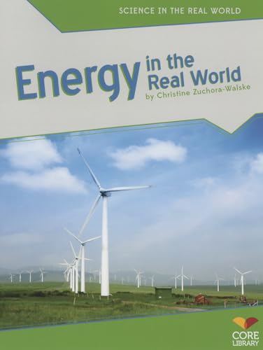 Beispielbild fr Energy in the Real World zum Verkauf von Better World Books