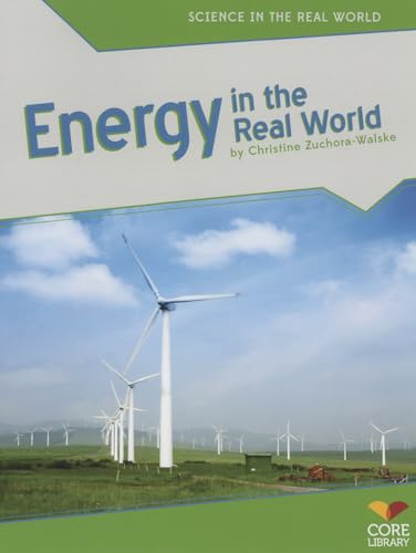 9781617837890: Energy in the Real World (Science in the Real World)