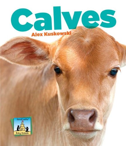 9781617838361: Calves