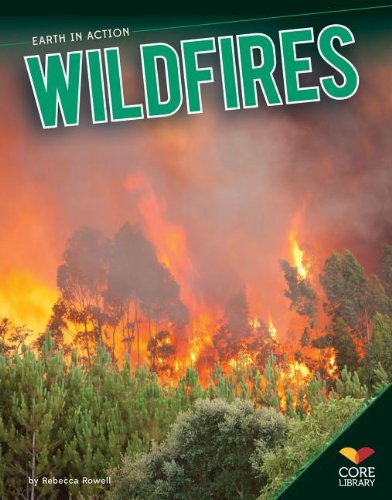 Stock image for Wildfires (Earth in Action) for sale by HPB-Emerald