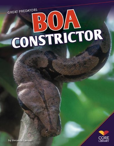 Stock image for Boa Constrictor (Great Predators) for sale by Irish Booksellers