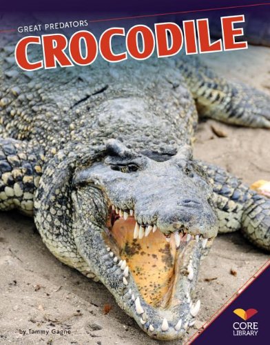 Crocodile (Great Predators) (9781617839467) by Gagne, Tammy