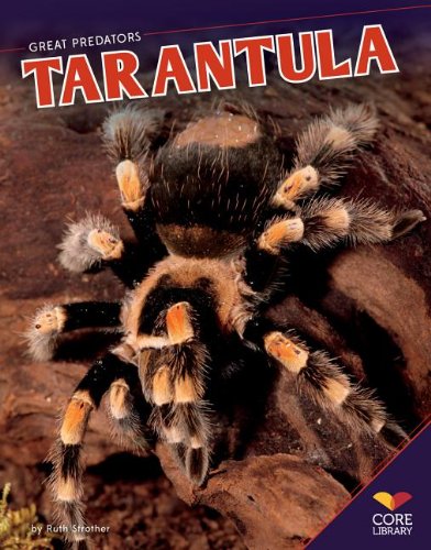 Imagen de archivo de Tarantula a la venta por Better World Books