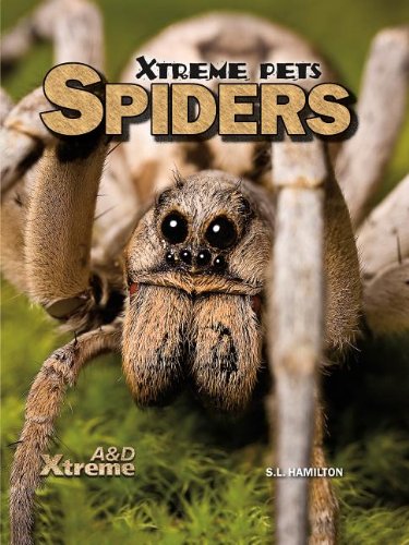 Beispielbild fr Spiders zum Verkauf von Better World Books