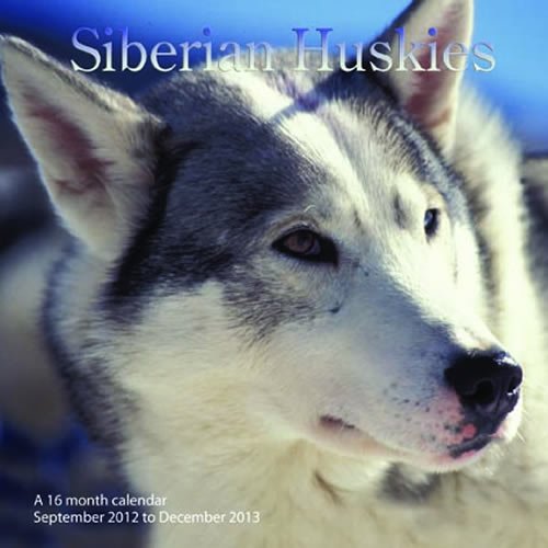 Siberian Huskies 2013 Wall Calendar #MGDOG46 (9781617911873) by Magnum