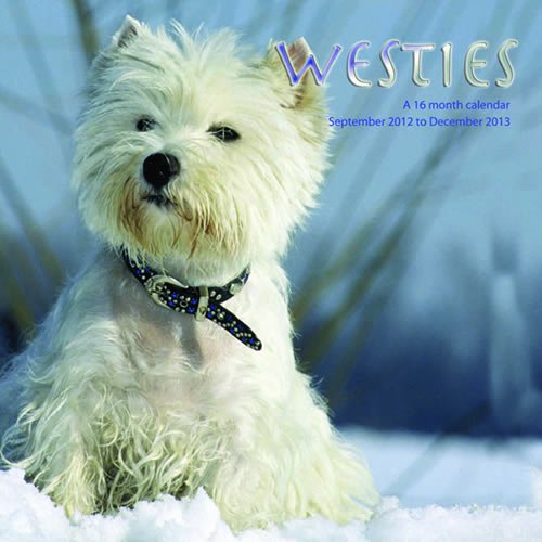 Westies 2013 Wall Calendar #MGDOG52 (9781617911934) by Magnum