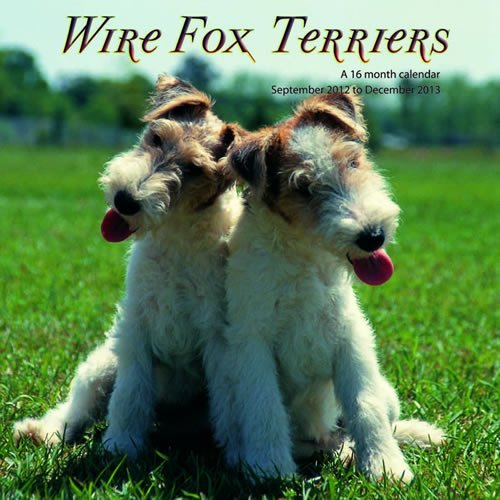 Wire Fox Terriers 2013 Wall Calendar (9781617911941) by Magnum