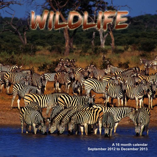 Wildlife 2013 Wall Calendar #MGANM01 (9781617911972) by Magnum