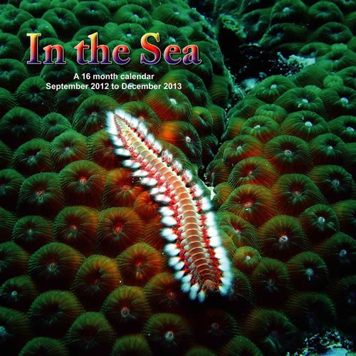 In The Sea 2013 Wall Calendar #MGANM09 (9781617912061) by Magnum