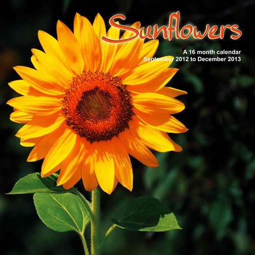 Sunflowers 2013 Wall Calendar #MGNAG07 (9781617912238) by Magnum