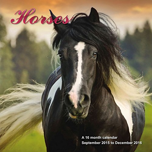 9781617915444: Horses Square Calendar 2016