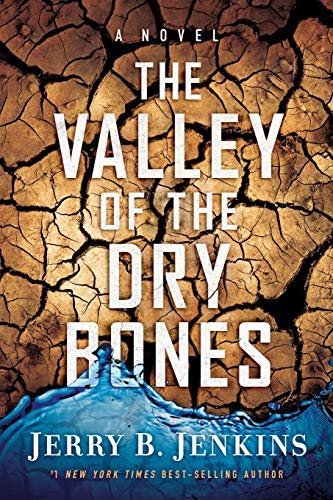 Beispielbild fr The Valley of Dry Bones : A Novel zum Verkauf von Better World Books
