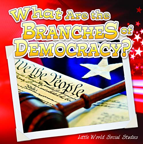 Imagen de archivo de What Are the Branches of Democracy? a la venta por Better World Books: West