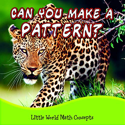 9781618102058: Can You Make a Pattern? (Little World Math Concepts)