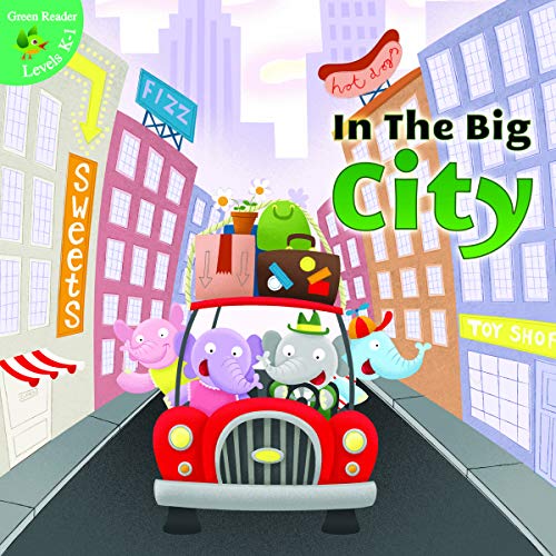 9781618103024: In the Big City (Little Birdie Readers, Level K-1)