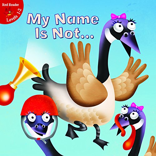 9781618103208: My Name Is Not... (Little Birdie Books)