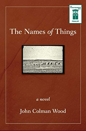 Imagen de archivo de The Names of Things: A Novel a la venta por Wonder Book