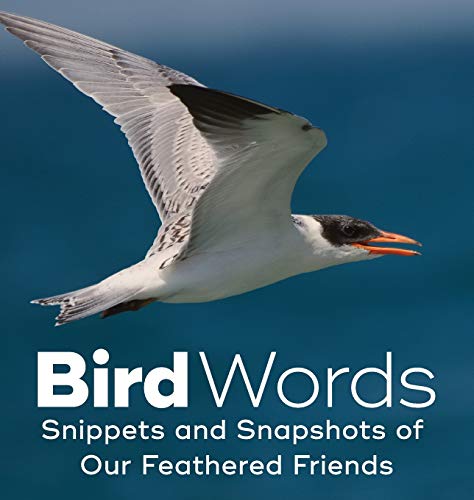 Stock image for Bird Words : Snippets and Snapshots of Our Feathered Friends for sale by Better World Books