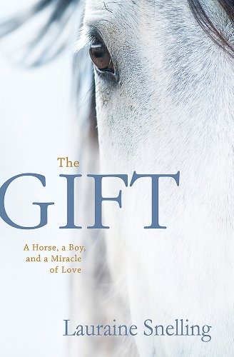 Stock image for The Gift : A Horse, a Boy, and a Miracle of Love for sale by Better World Books: West