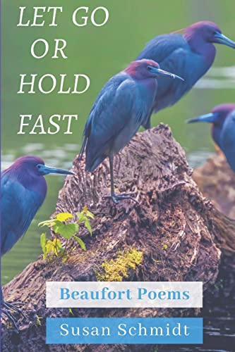 Stock image for Let Go or Hold Fast for sale by Better World Books