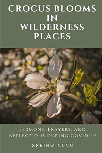 9781618461094: Crocus Blooms in Wilderness Places: Sermons, Prayers, and Reflections During COVID-19
